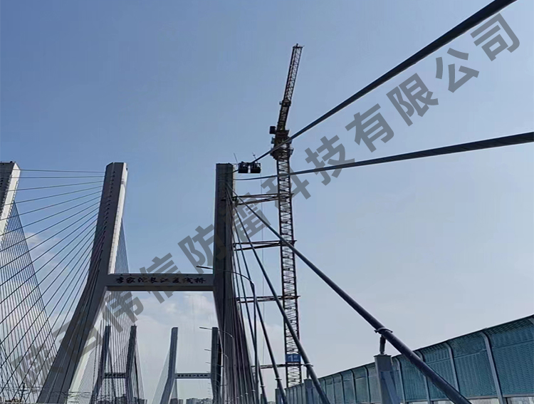 重庆李家沱长江大桥防雷工程项目